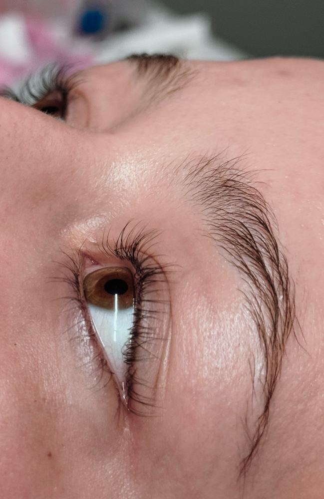 Lashes & Brows